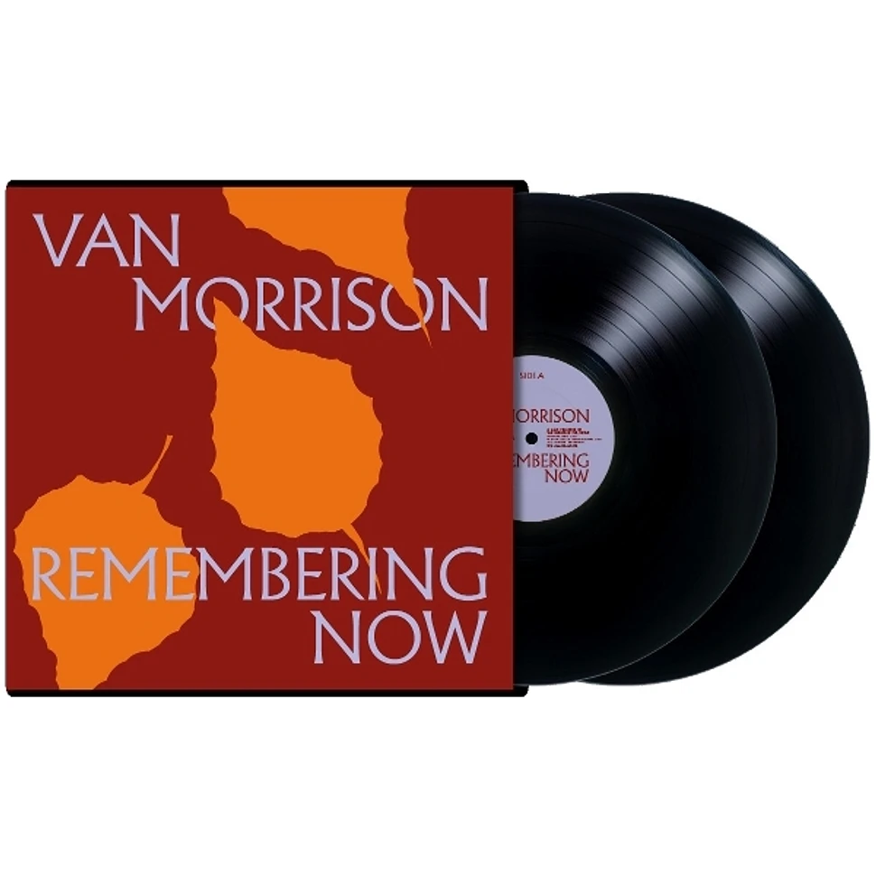 Van Morrison - Remembering Now