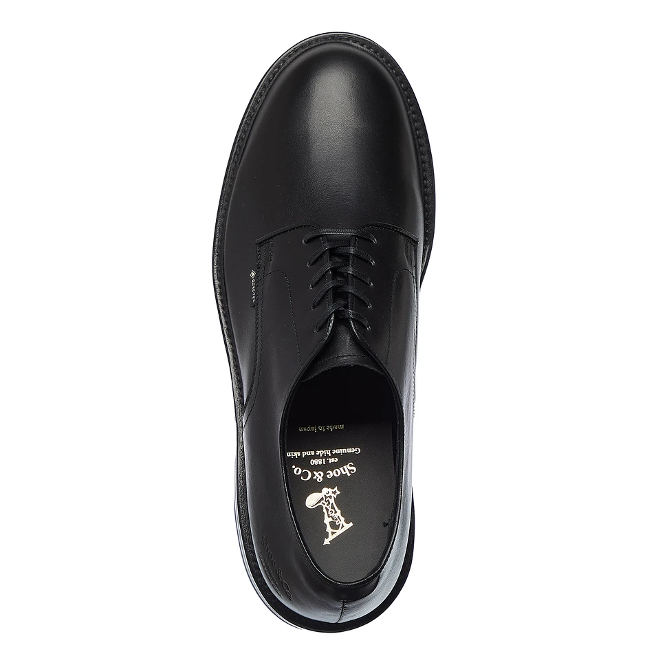 REGAL Shoe & Co. - Plain Toe GTX (Black) | HHV