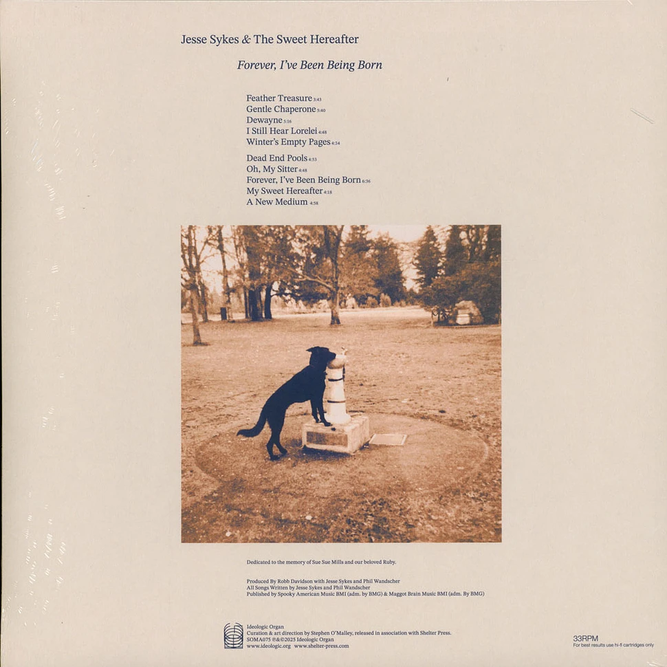 Jesse Sykes & The Sweet Hereafter - Forever I've Been Being Born