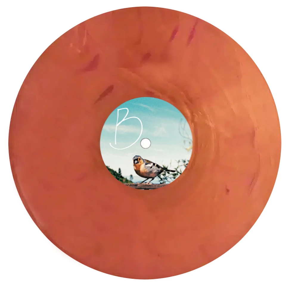AzudemSK & Dubios - Gesang Nach Sonnenstand Colored Vinyl Edition